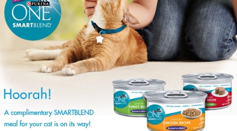 Nestle Purina On Hunt For European PR Support