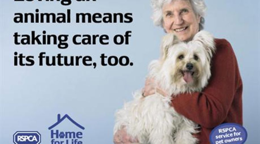 Direct marketing account in review at RSPCA