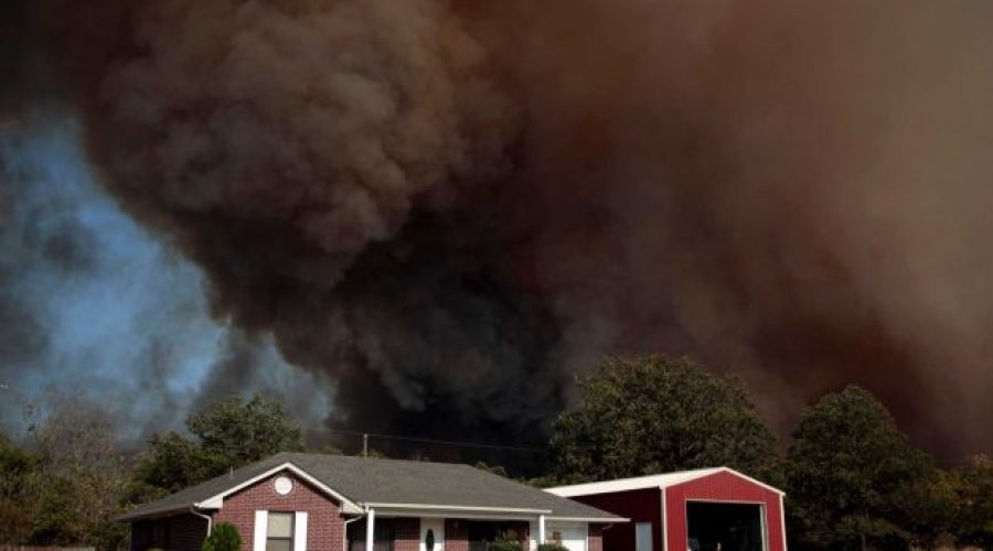 Where there’s smoke, there’s a market