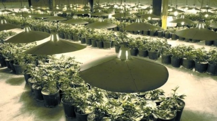 A new category to pitch: Marijuana