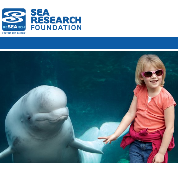 Mystic Aquarium up for review Ratti Report