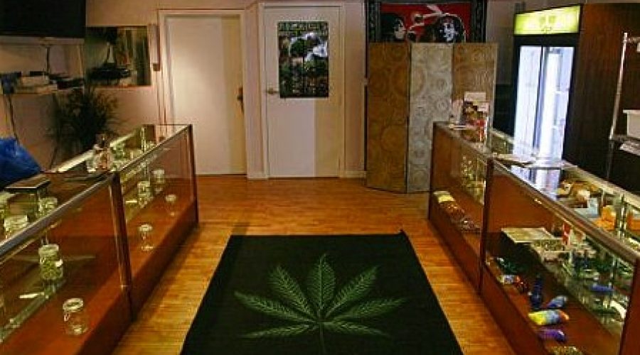 Establishing ‘the Anheuser-Busch of marijuana’