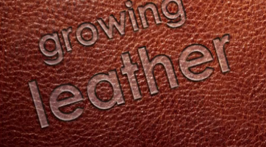 New Industry: Growing Leather
