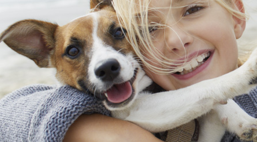 Smuckers adopts Big Heart Pet Brands