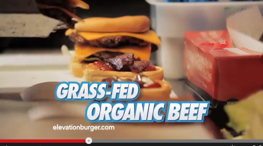 Steal This Account: Elevation Burger