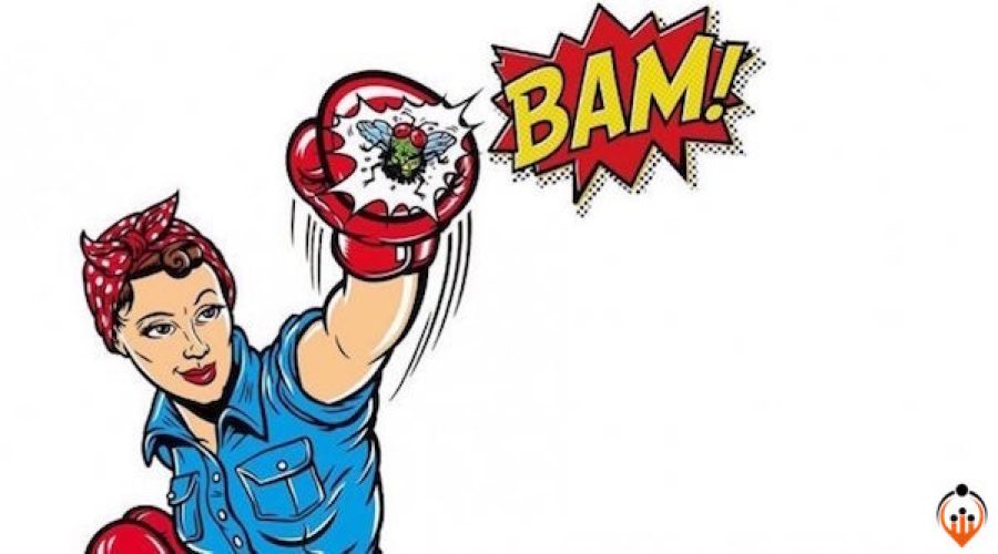 Green products Co going global & needing marketing