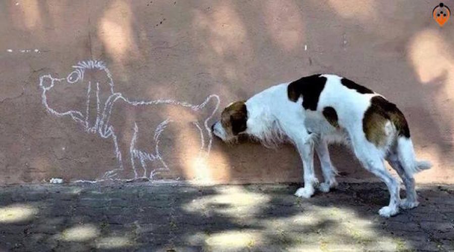 Too much change at retailer not to sniff around