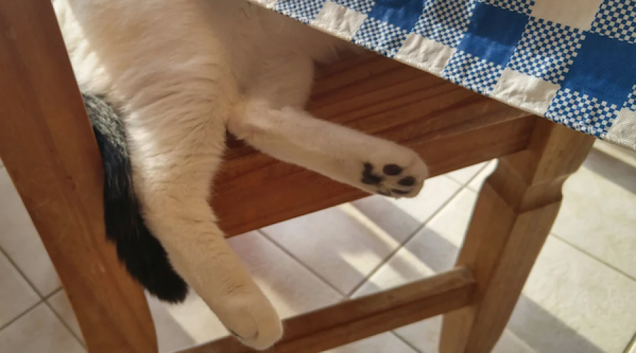 Investors look to ax CEO & entire board: Agency hides under kitchen table