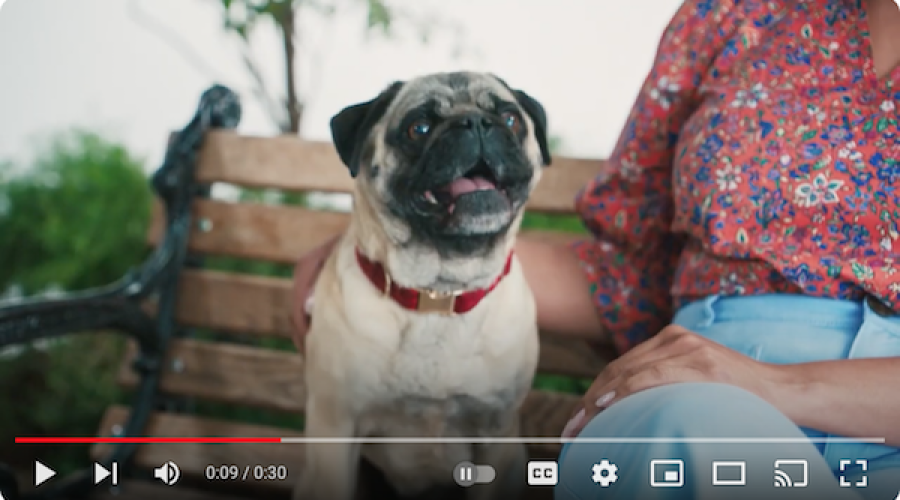 Mortgage company hires ad junkie