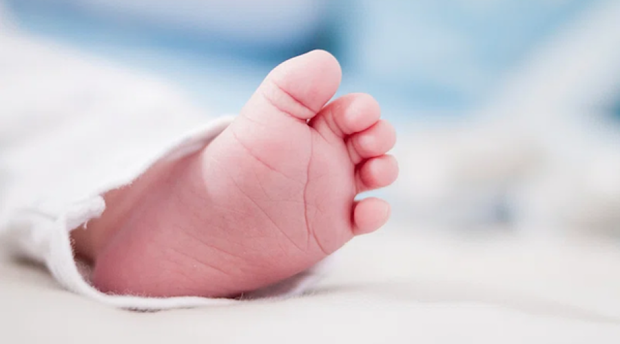 Baby stores are coming to 33 states: Pitching Time