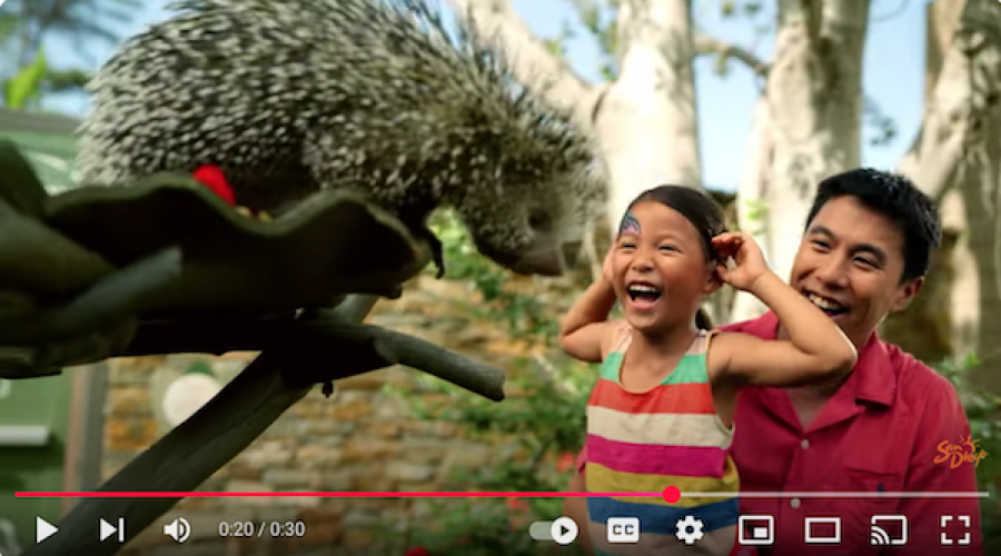 West coast tourism authority appoints hotel exec as CEO