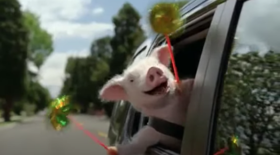 A Paused Creative Review Could Be Your Opening