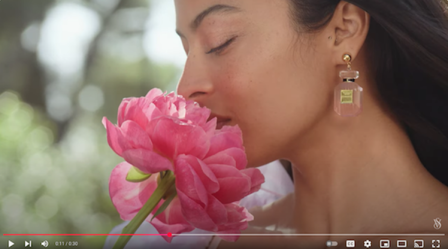 Lingerie giant has 3 new Presidents after hiring new CEO: Charge!