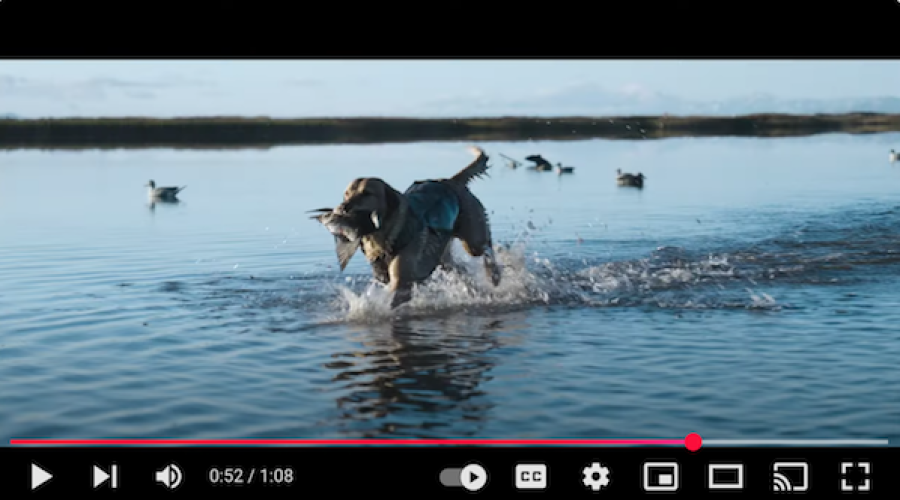 A sportsman’s client promotes SVP to CMO: New Creative Expected