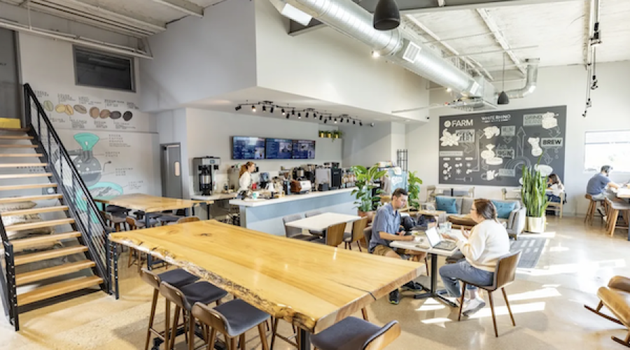 13 location coffee shop has new CEO: Great time to get into hospitality