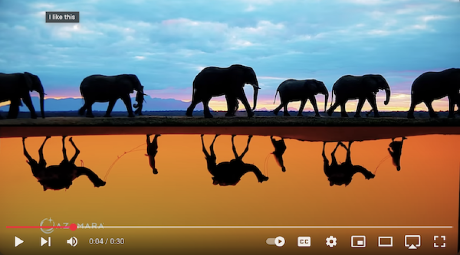 Want to get into Cruising? Start with a 4 ship client