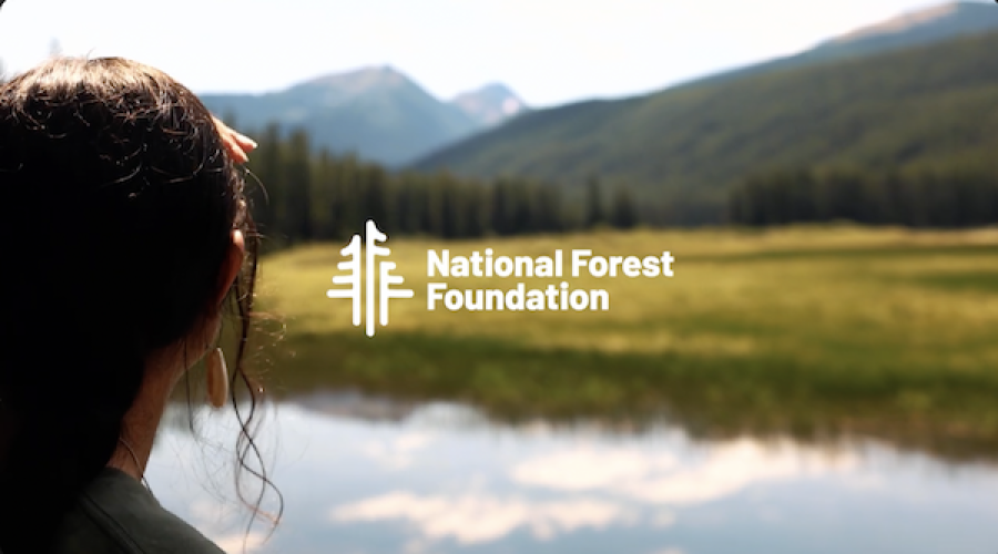 Forest Foundation Seeks Agency: RFP