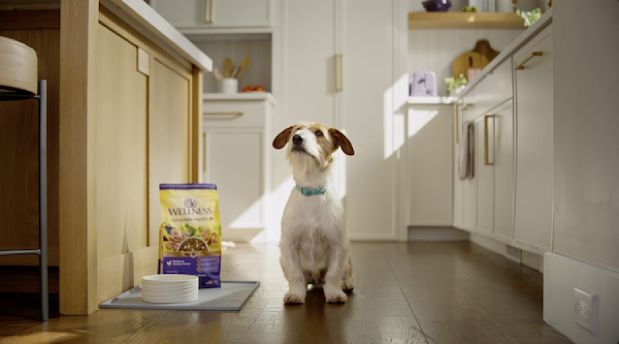 A pet wellness client has new food vet CMO
