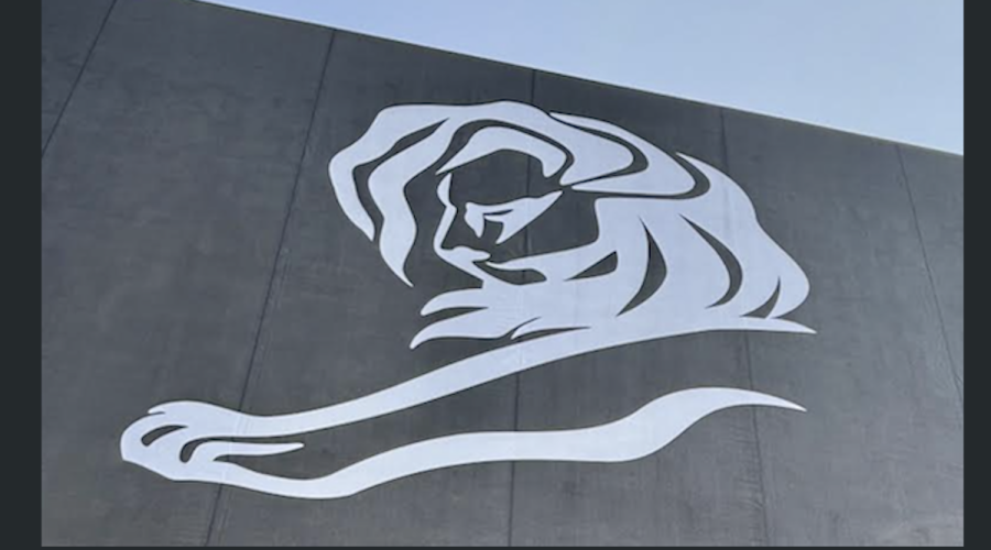Sans holding companies, Cannes equals Bone Dry Account Pitches: Let’s Go!!